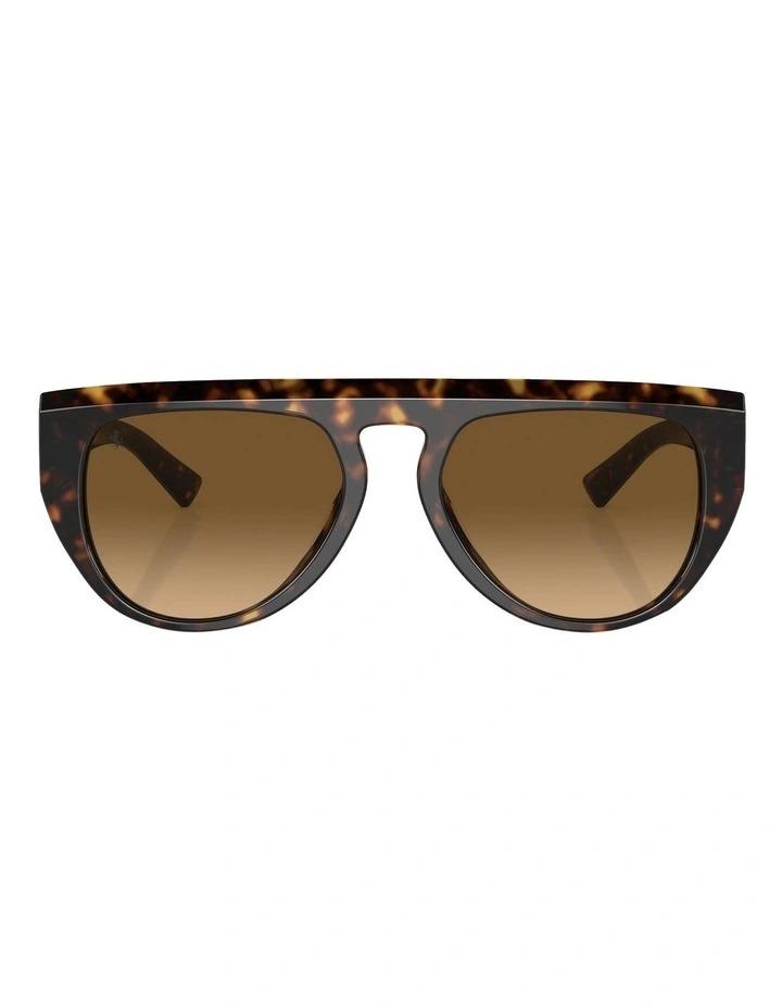 FH2005U Polarised Sunglasses in Tortoise