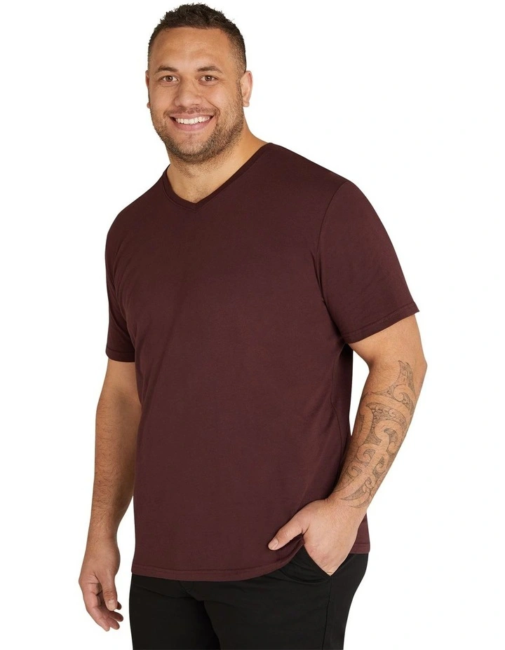Essential V Neck Tee in Burgundy