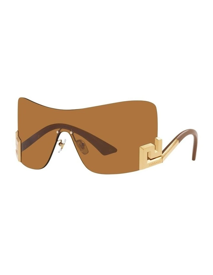 VE2240 Copper Sunglasses