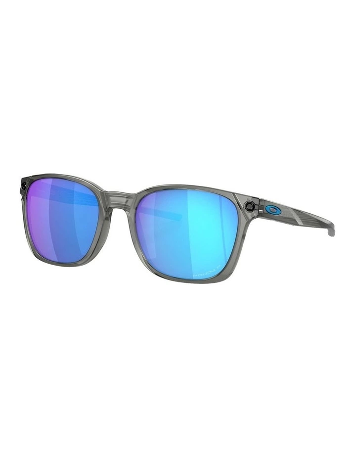 Objector Polarized Sunglasses in Grey
