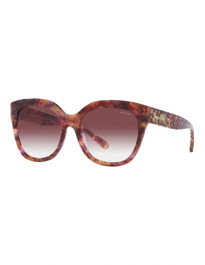 Tortoise L1083 Sunglasses in Brown