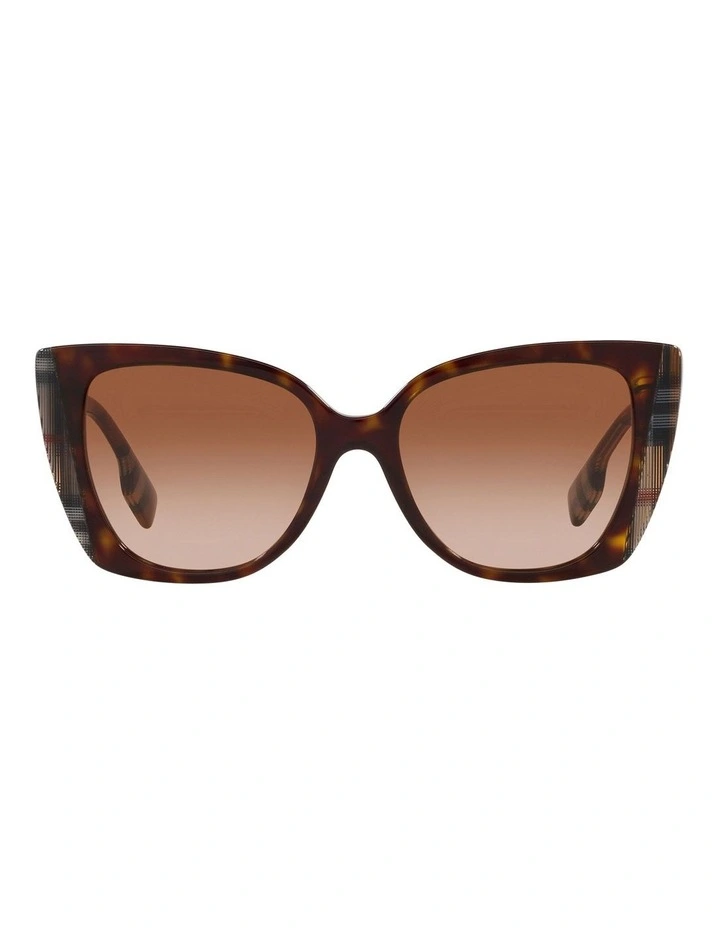 Meryl Sunglasses in Brown