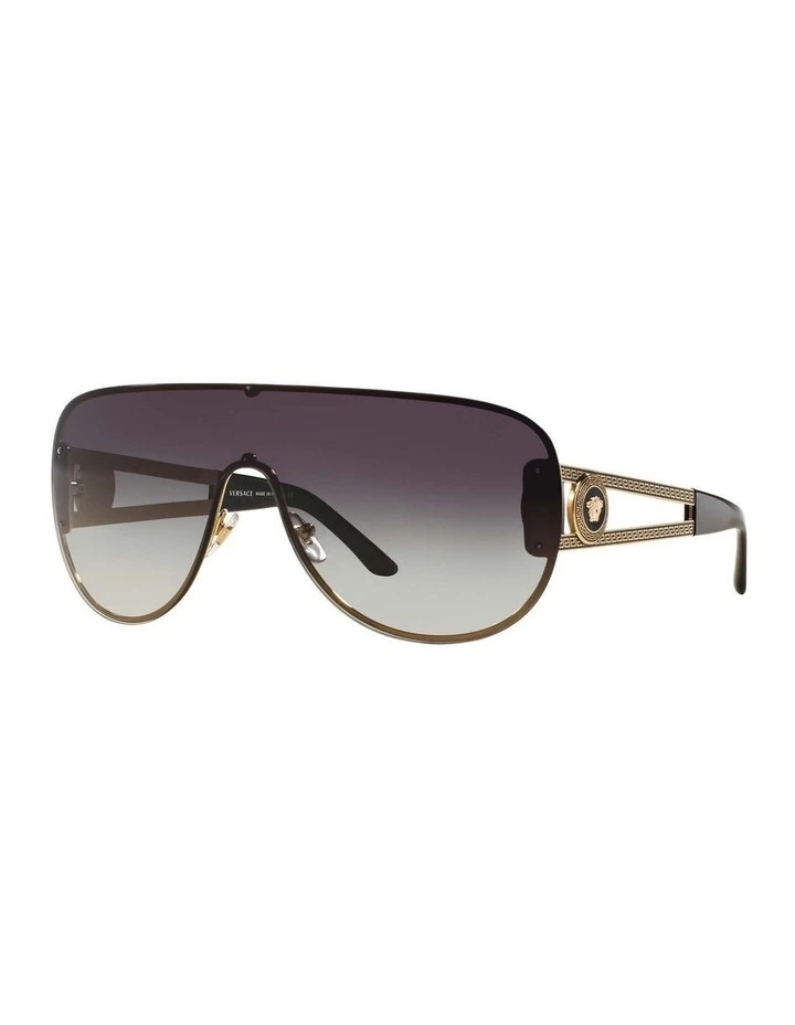 VE2166 Gold Sunglasses