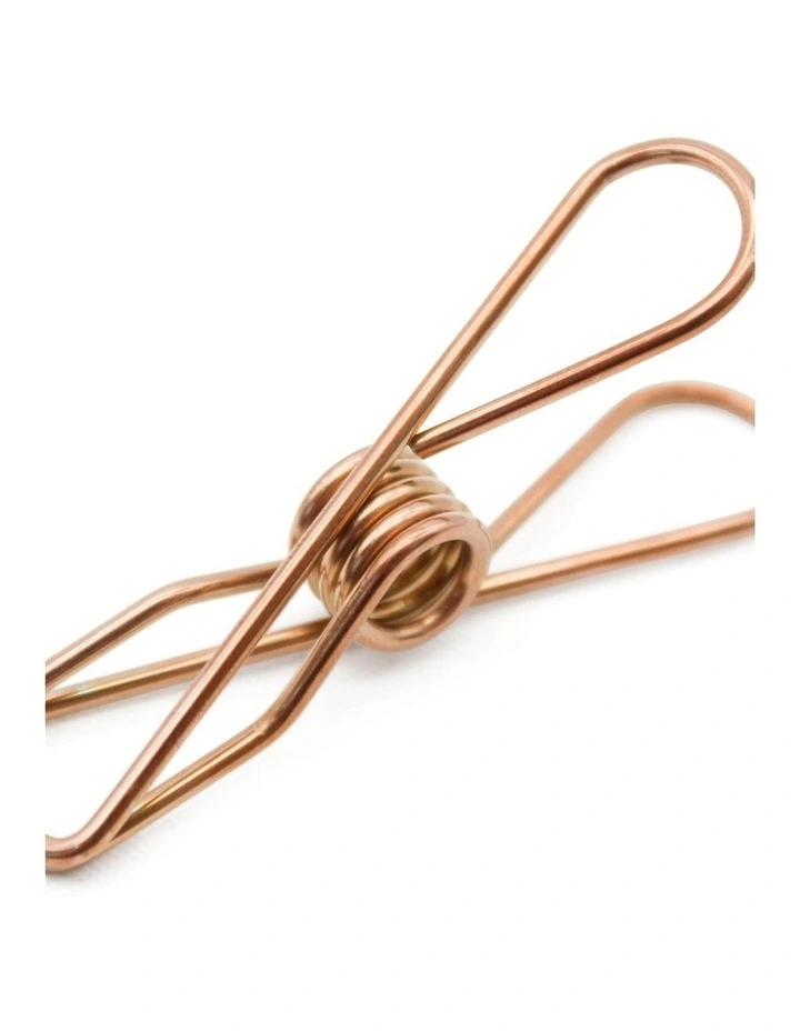 Small Stainless Steel Pegs 40 Pack in Rose Gold
