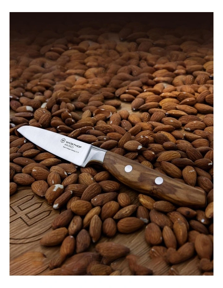 Wusthof Amici Paring Knife 9cm