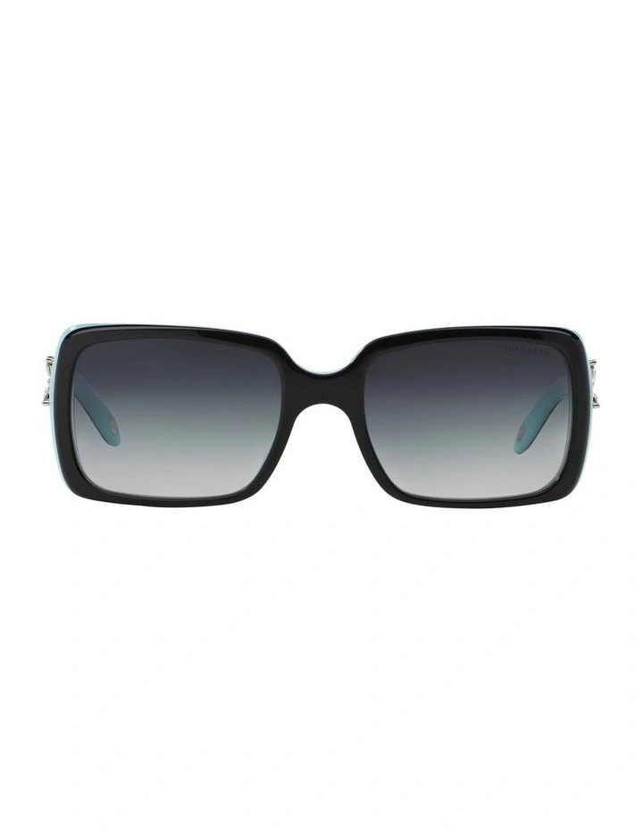 TF4047B Black Sunglasses