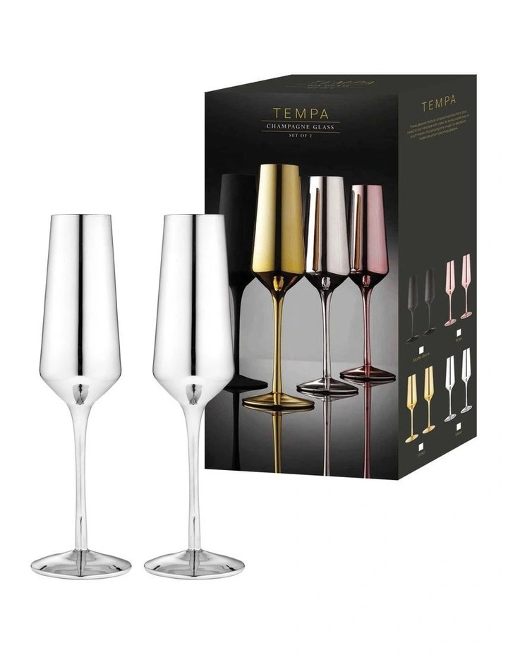 Aurora Champagne Glass 2 Pack in Silver
