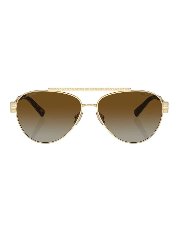 TF3101B Polarised Sunglasses in Gold