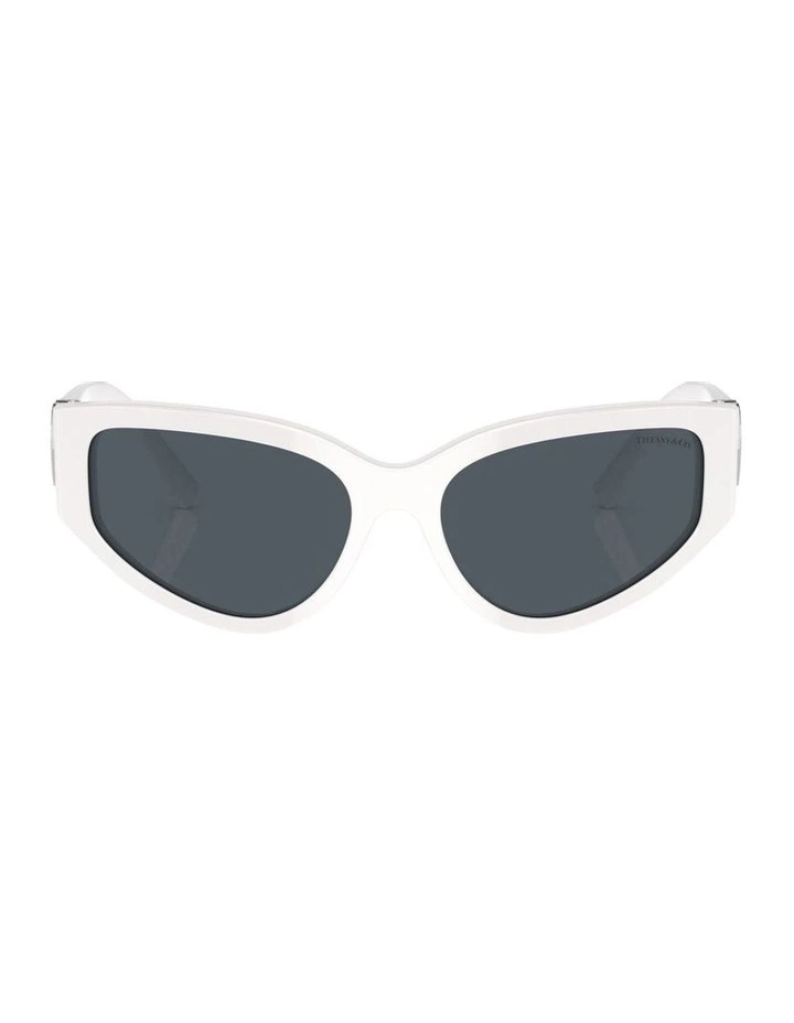 TF4217 Sunglasses in White