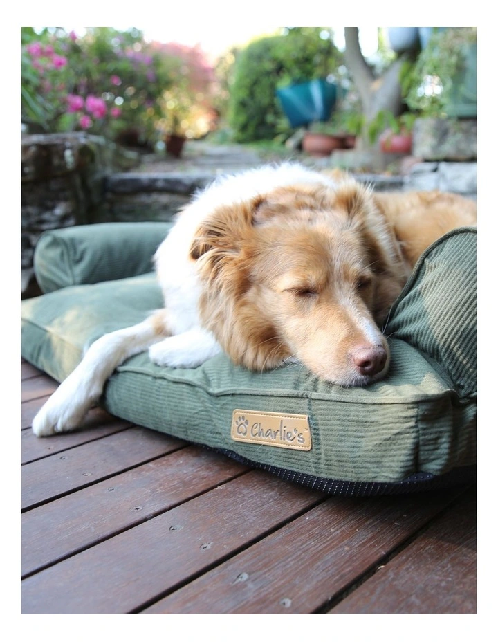 Corduroy Dog Sofa Bed in Green
