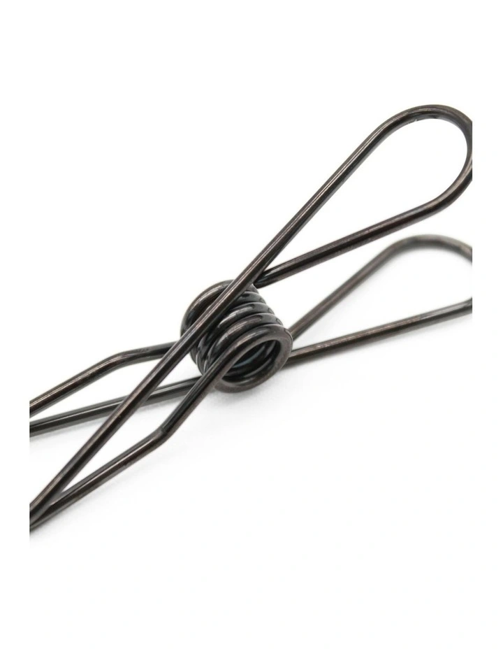 Large Stainless Steel Pegs 40 Pack in Black
