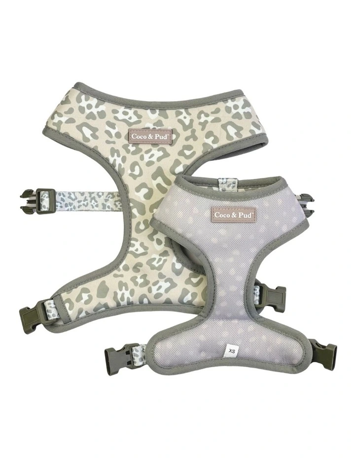 Amur Leopard Reversible Dog Harness