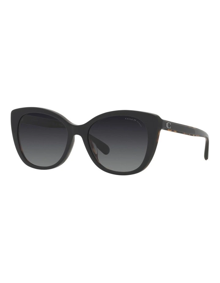 CH566 Polarised Sunglasses in Black