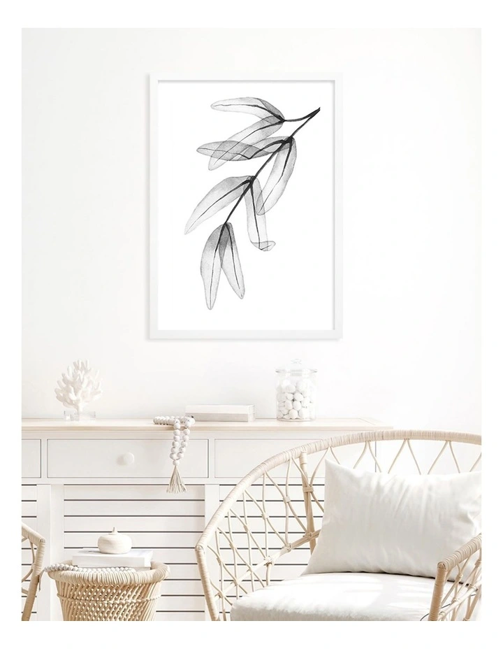 Australian Made Transparent Eucalyptus Feather Leaves Art Print A2 in White Frame