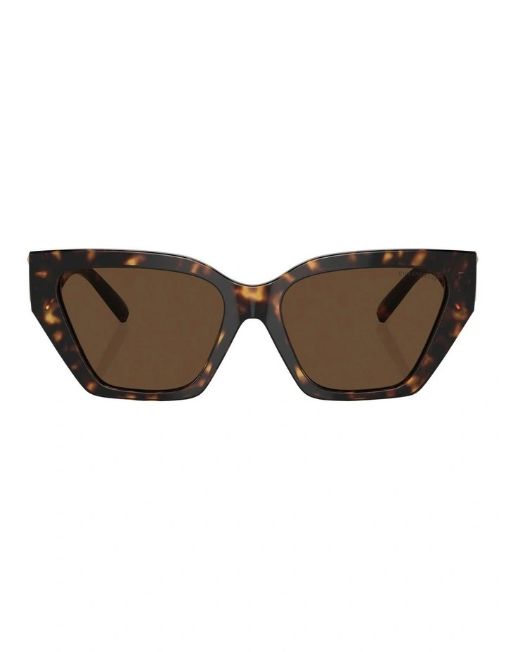 TF4218 Sunglasses in Tortoise