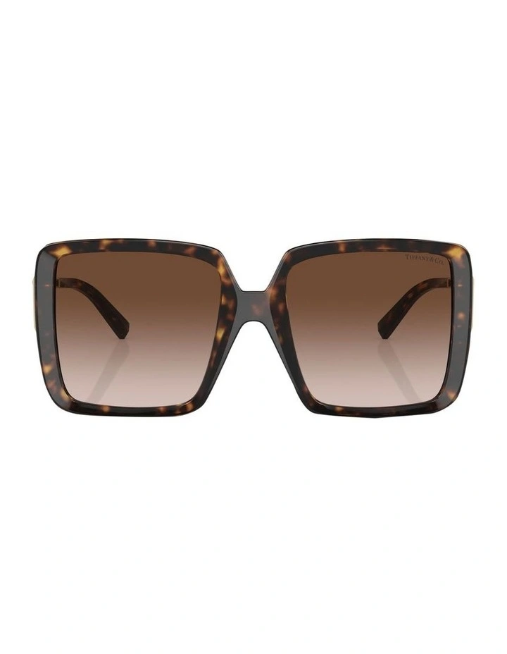 TF4212U Sunglasses in Tortoise