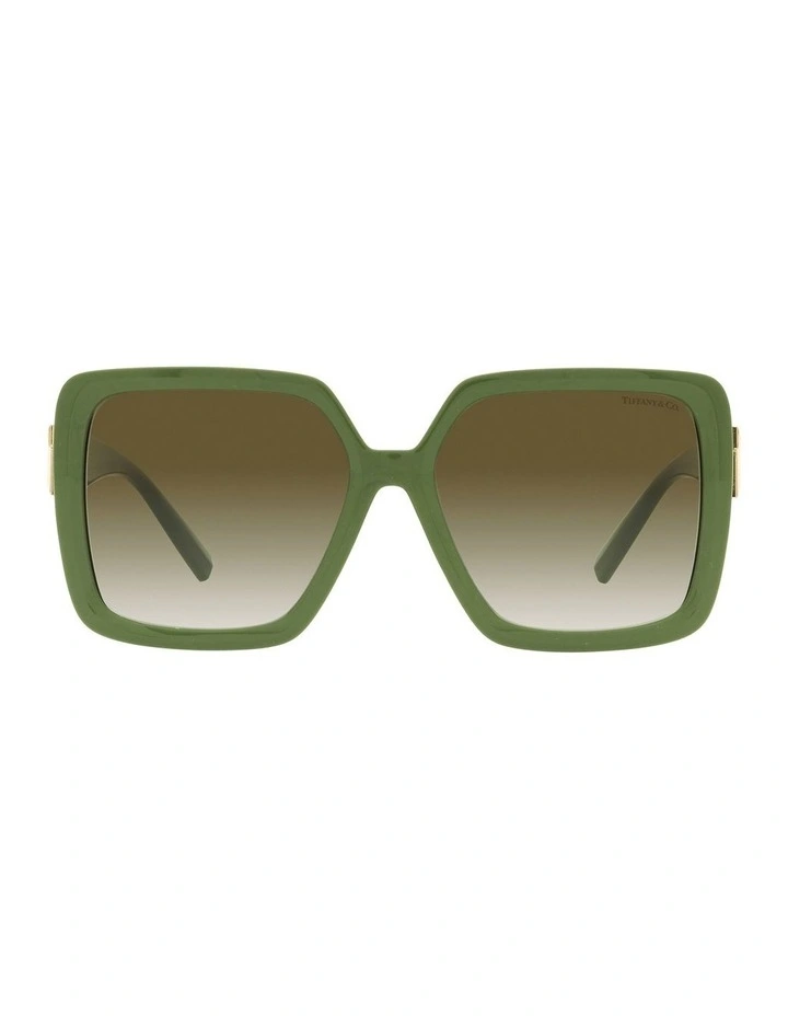 TF4206U Sunglasses in Brown