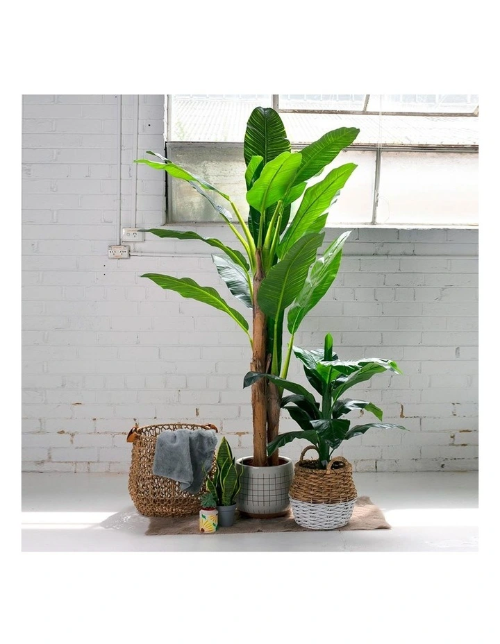Banana Tree Artificial Plant 180cm