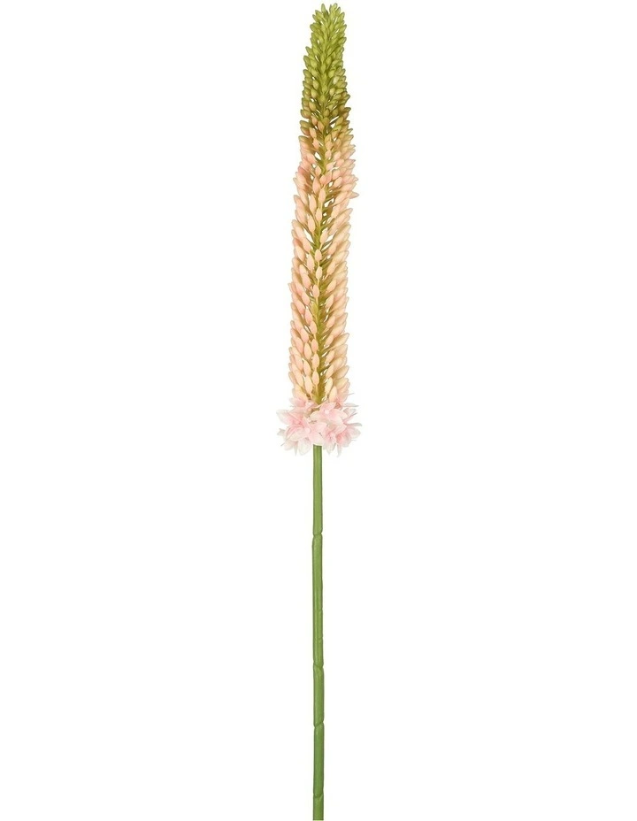 Fox Tail Stem 84cm in Pink