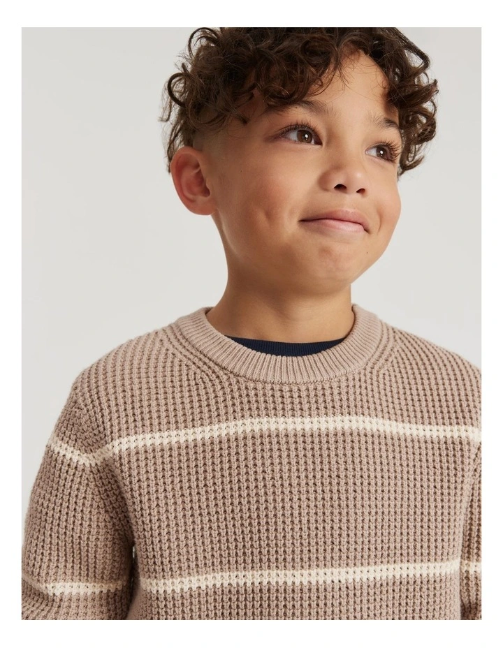 Organically Grown Cotton Stripe Textured Knit in Mushroom
