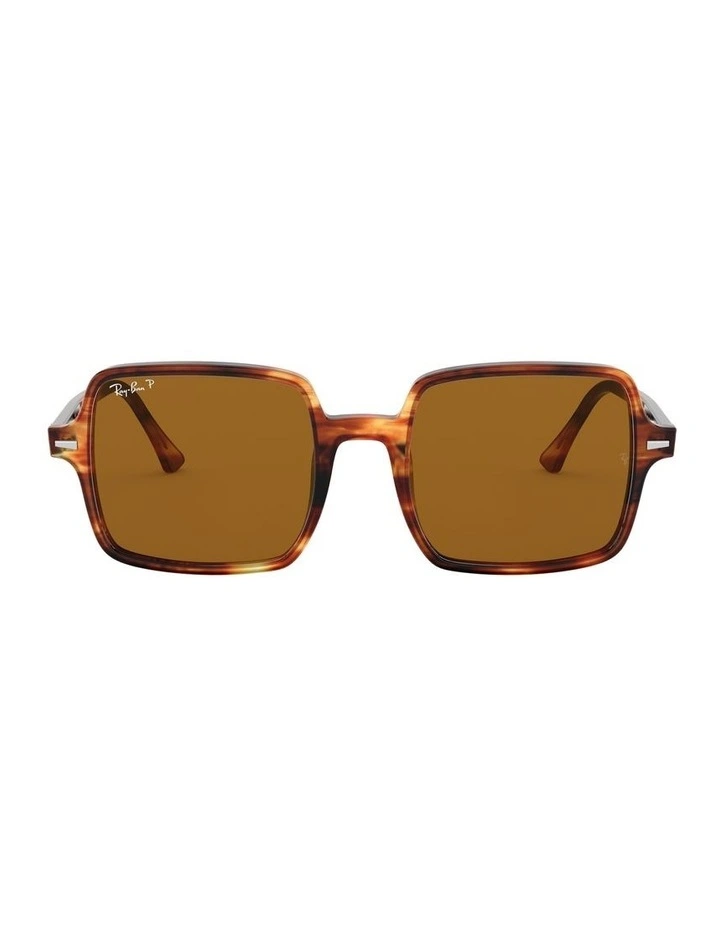 Square II Brown RB1973 Polarised Sunglasses