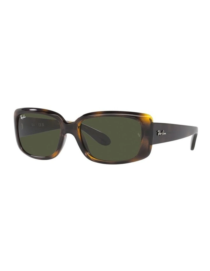 0RB4389 Sunglasses In Havana