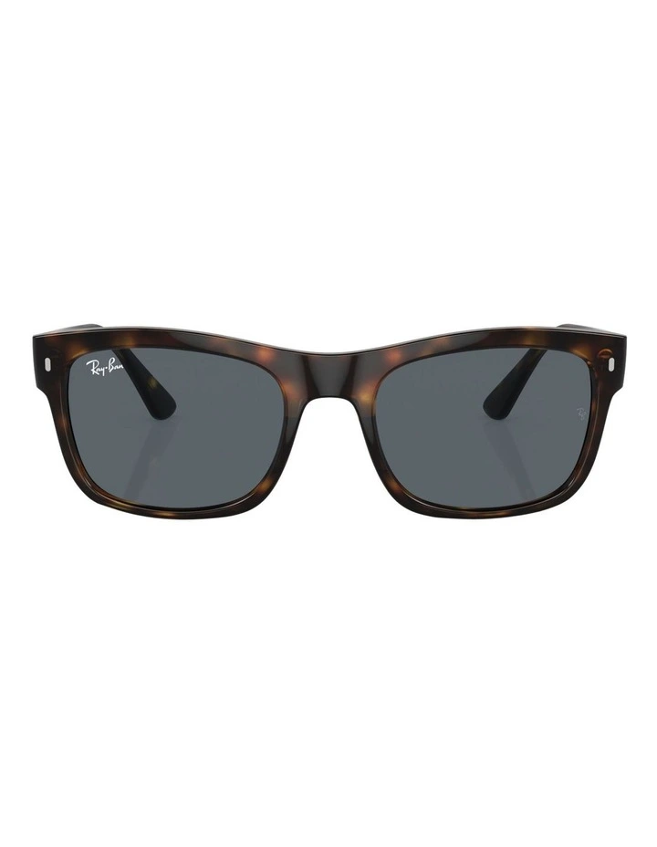 RB4428 Sunglasses in Tortoise
