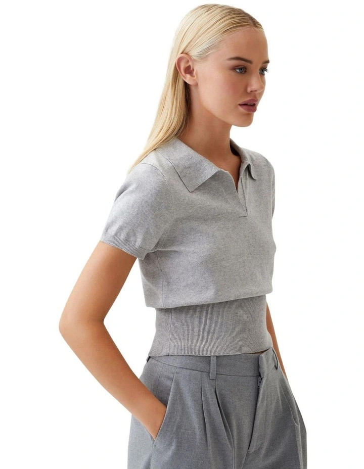 Daphne Polo Neck Knitted Crop Top in Silver