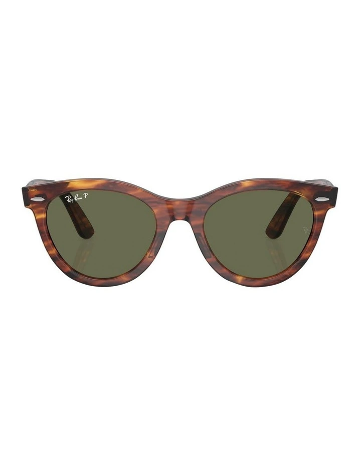 Wayfarer Way Polarised Sunglasses in Brown