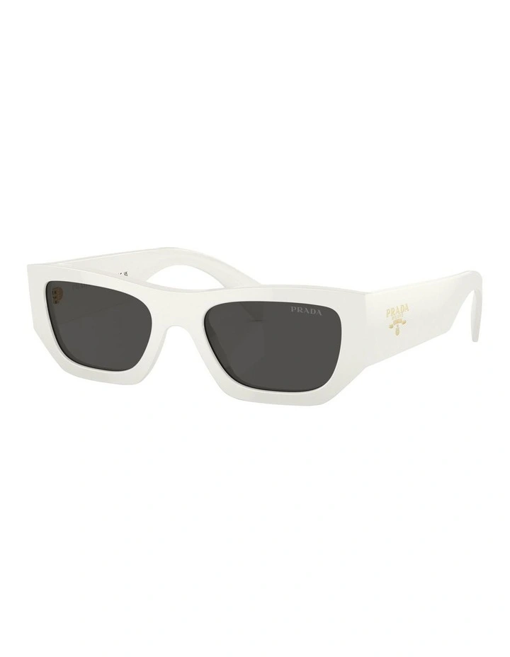 PR A01S Sunglasses in White