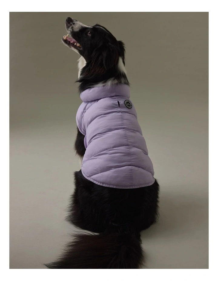 Recycled Nylon Balto Pet Puffer in Icing