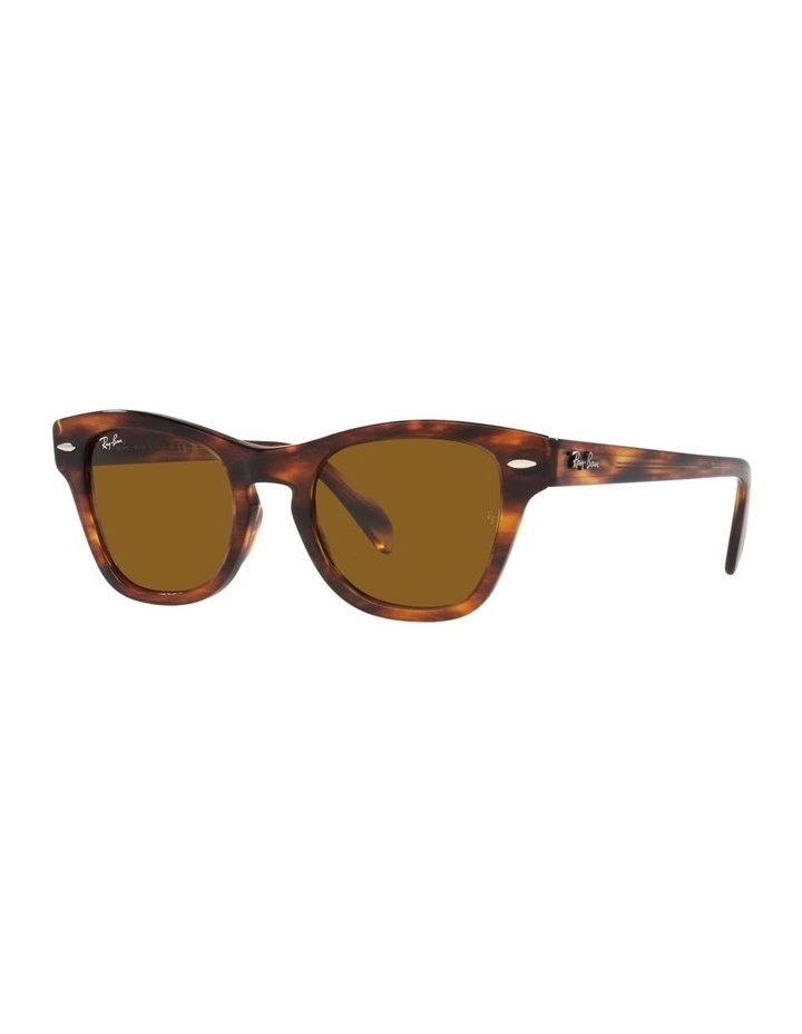 0RB0707S Sunglasses In Striped Havana