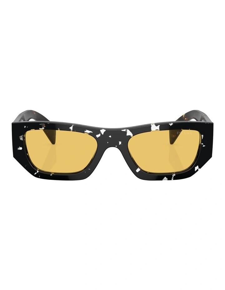 PR A01S Sunglasses in Brown