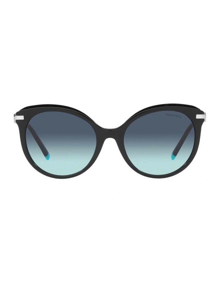 TF4189B Black Sunglasses