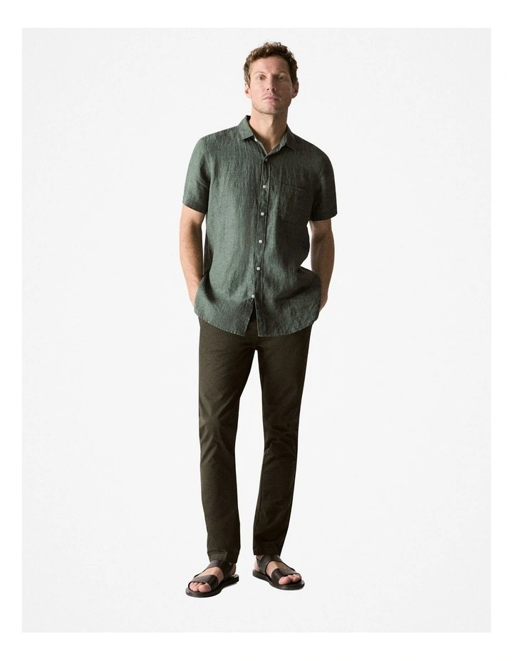 Regular Chino Pant in Kelp