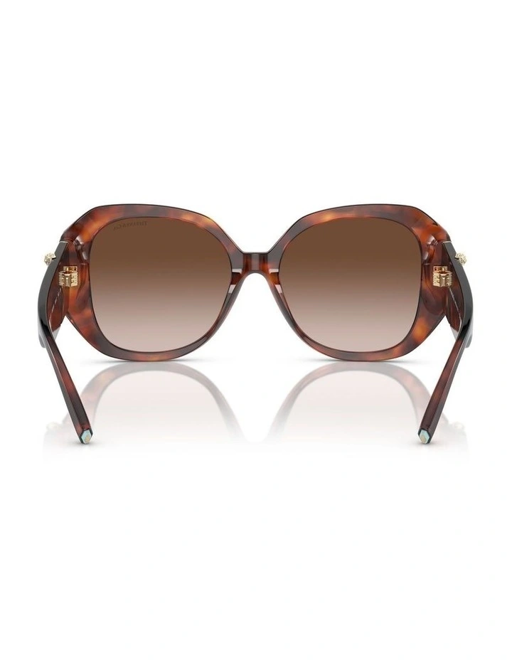 VE2252 Sunglasses in Gold