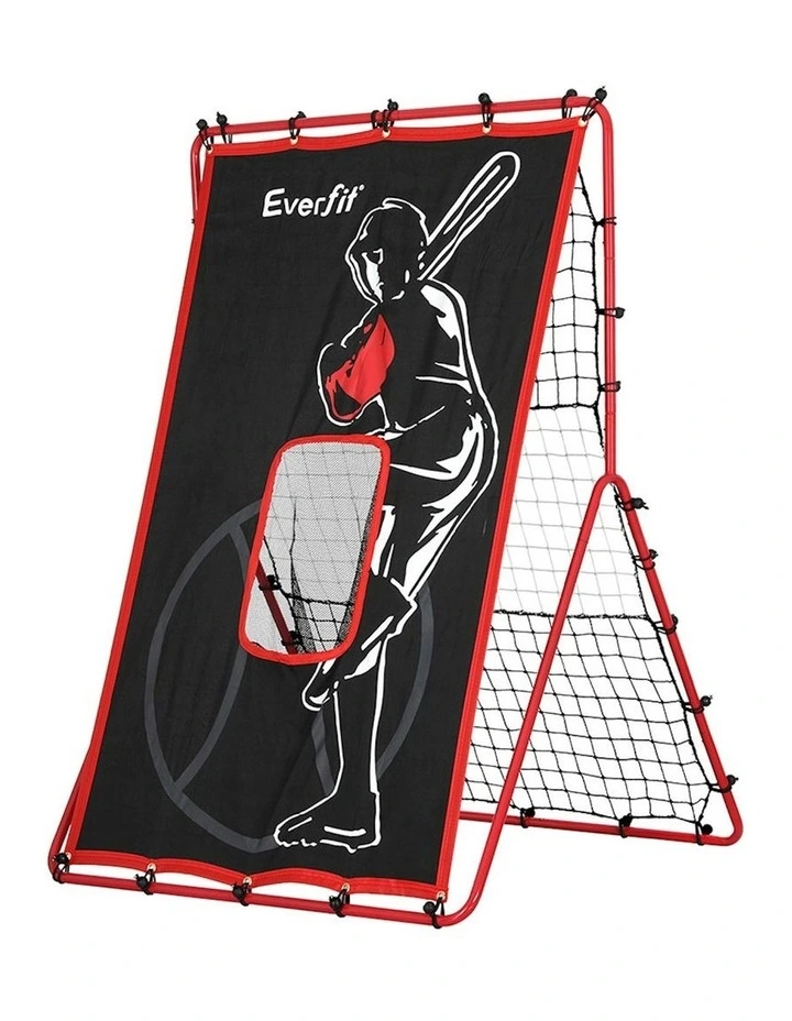 Pitching Target Hitter 2 in 1 Baseball Net in Multi