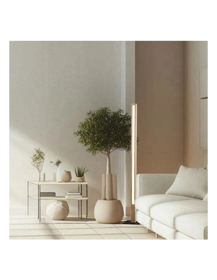 Rectara Floor Lamp