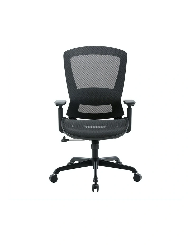 Daisey Mesh Seat Task Chair in Black