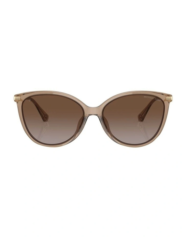Dupont Polarised Sunglasses in Brown