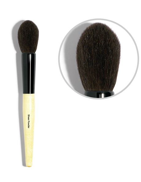 Sheer Powder Brush in Multi
