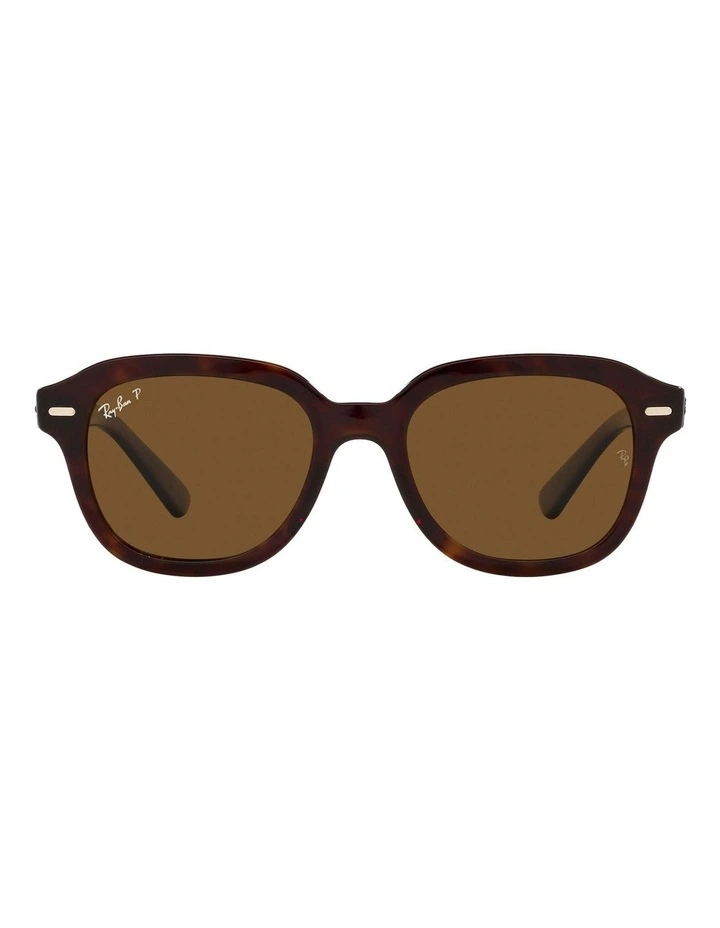 Erik Polarised Sunglasses in Tortoise