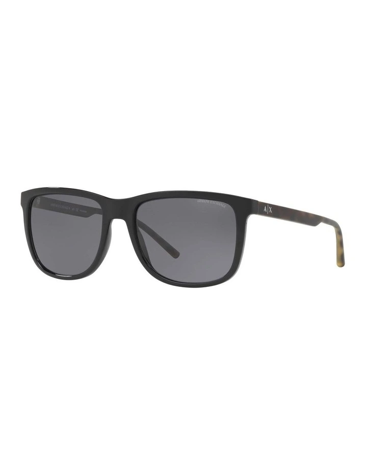 AX4070S Black Polarised Sunglasses