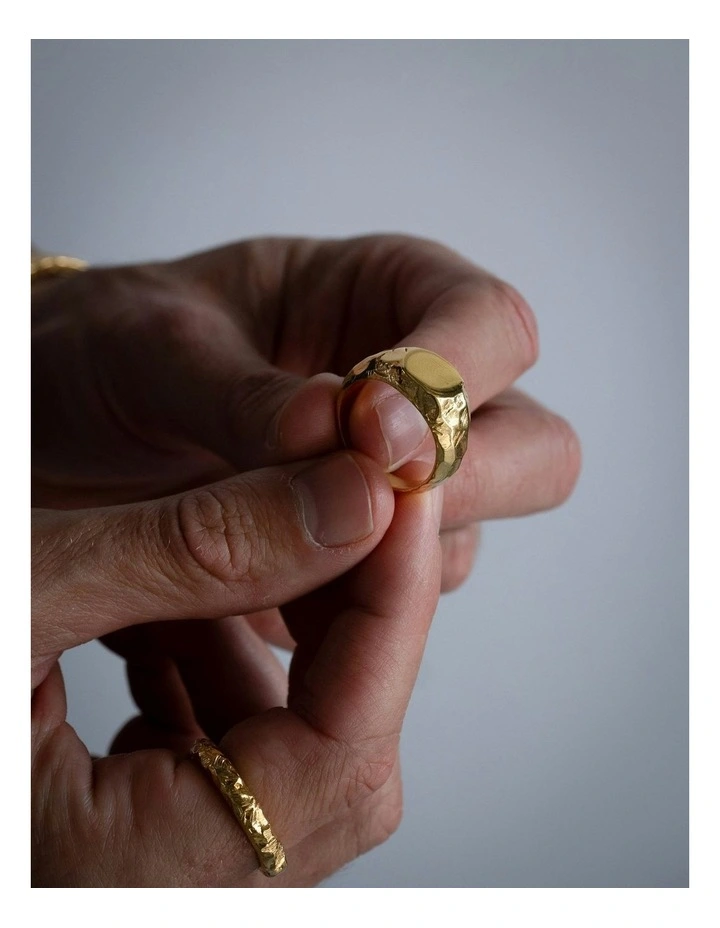 Jasper 1.0 Ring in Gold