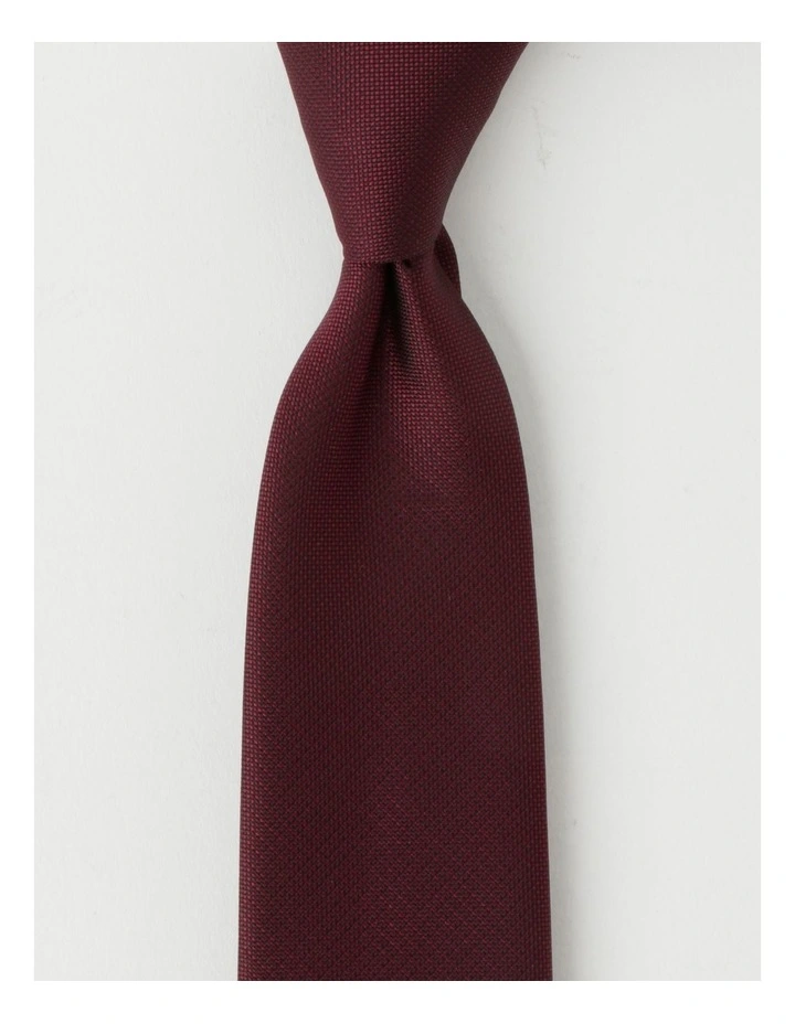 Plain Tie in Burgandy