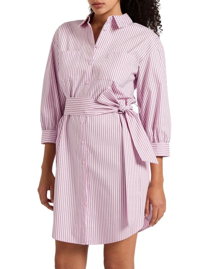 Fall In Line Shirt Dress in Pink Stripe