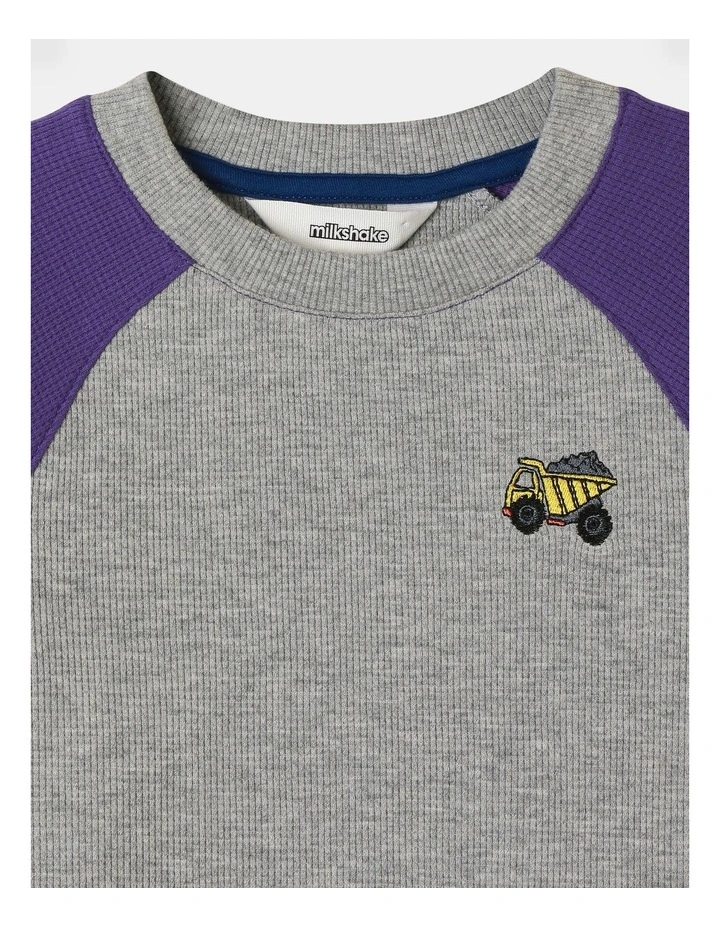 Long Sleeve Waffle Raglan Tee in Purple