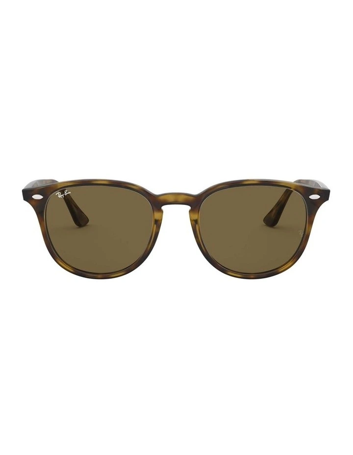 RB4259 Brown Sunglasses