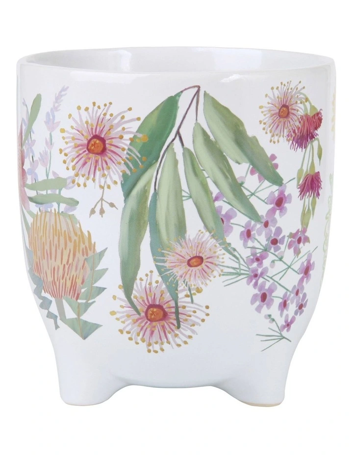 Royal Botanic Gardens Native Blooms Plant Pot 12cm in Multi