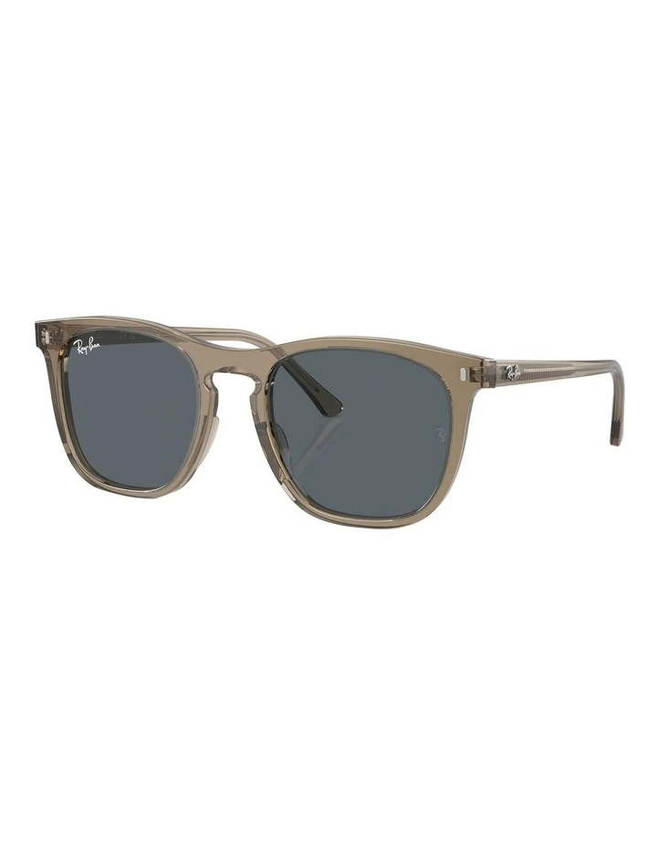 RB2210 Sunglasses in Brown